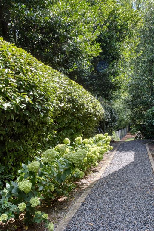 3741 Dumbarton Road Northwest Atlanta, GA 30327 - Photo 41 of 41 a view of a garden with plants