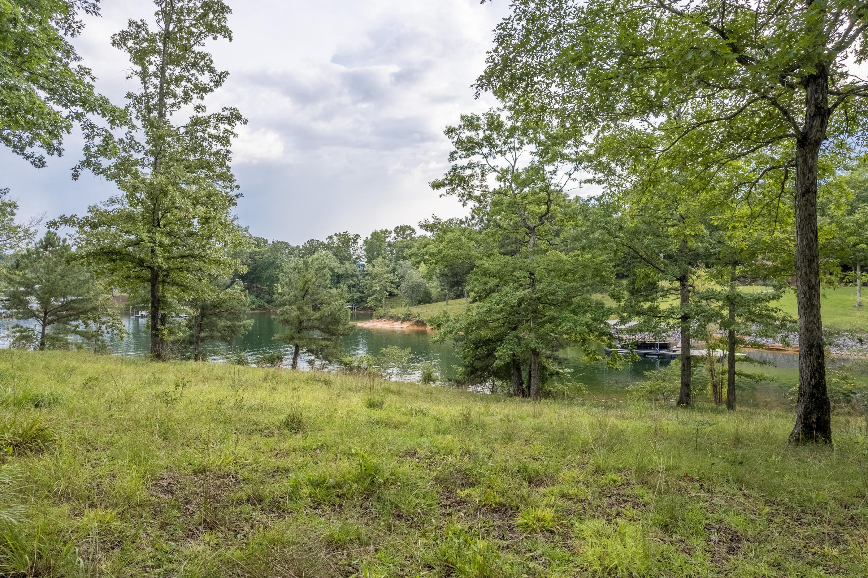 2 Sipsey Pines Road Arley, AL 35541 - Photo 6 of 27 Gallery Image 6