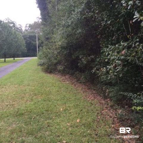 0 Bruhn Road Elberta, AL 36530 - Photo 5 of 7
