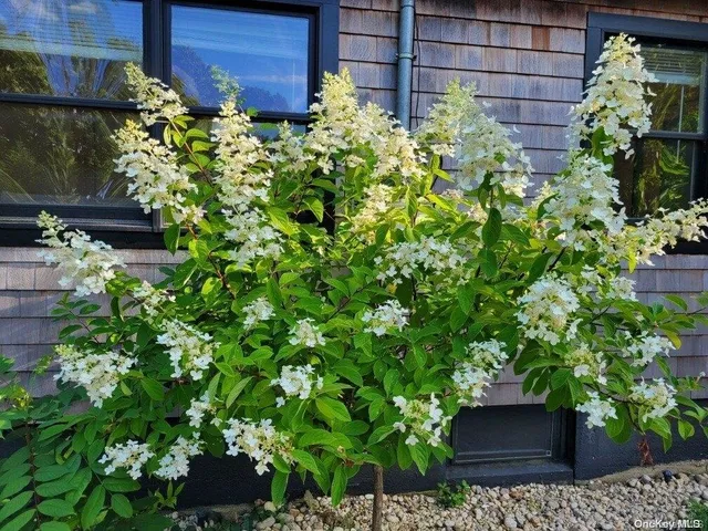 a view of a garden with plants