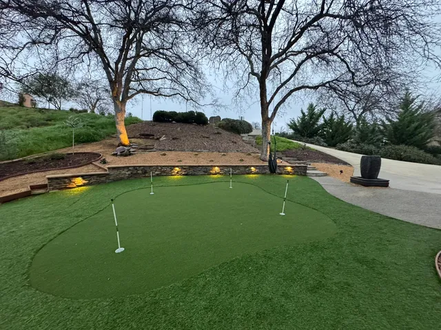 a view of a park with large trees