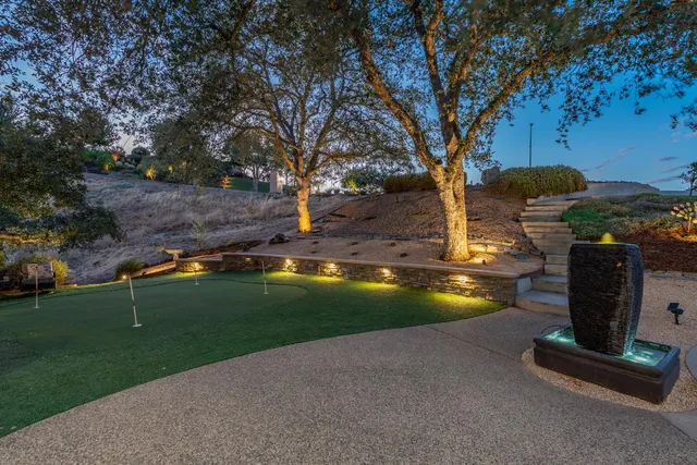 a view of a forest with trees in the background