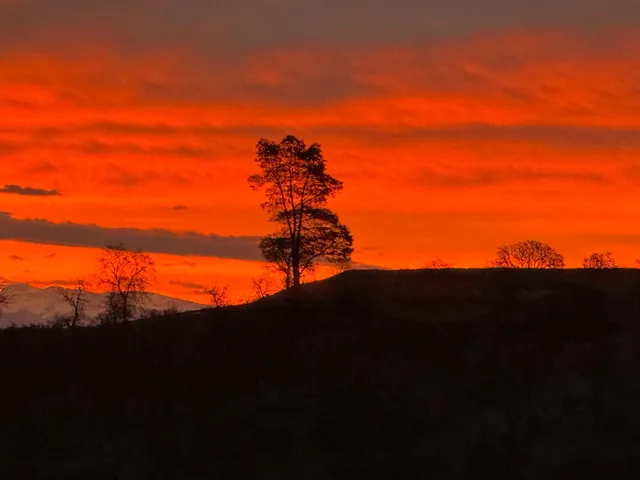 an aerial view of residential building and trees around