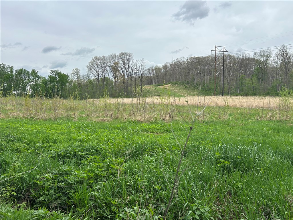 County Line Road Herrick, IL 62431 - Photo 15 of 20