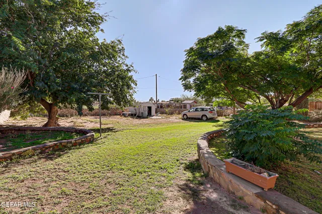 a view of a park that has a lots of plants and trees