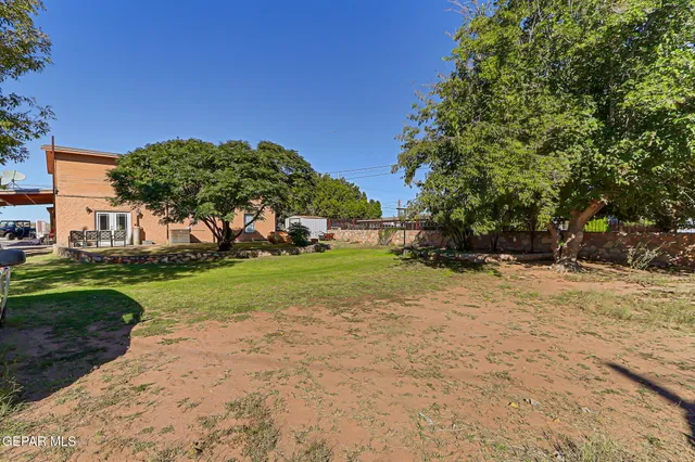 a view of street with tall trees