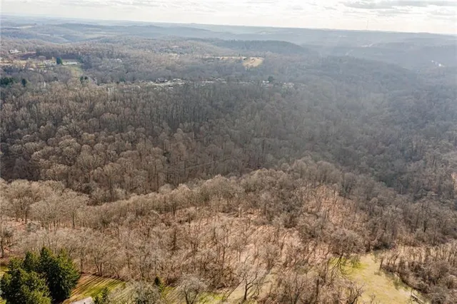 a view of a dry yard