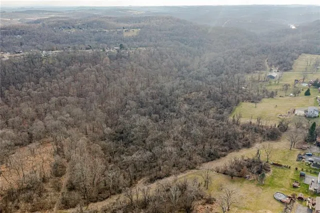 a view of a dry yard with trees