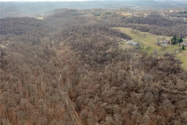 a view of a dry yard with mountains in the background
