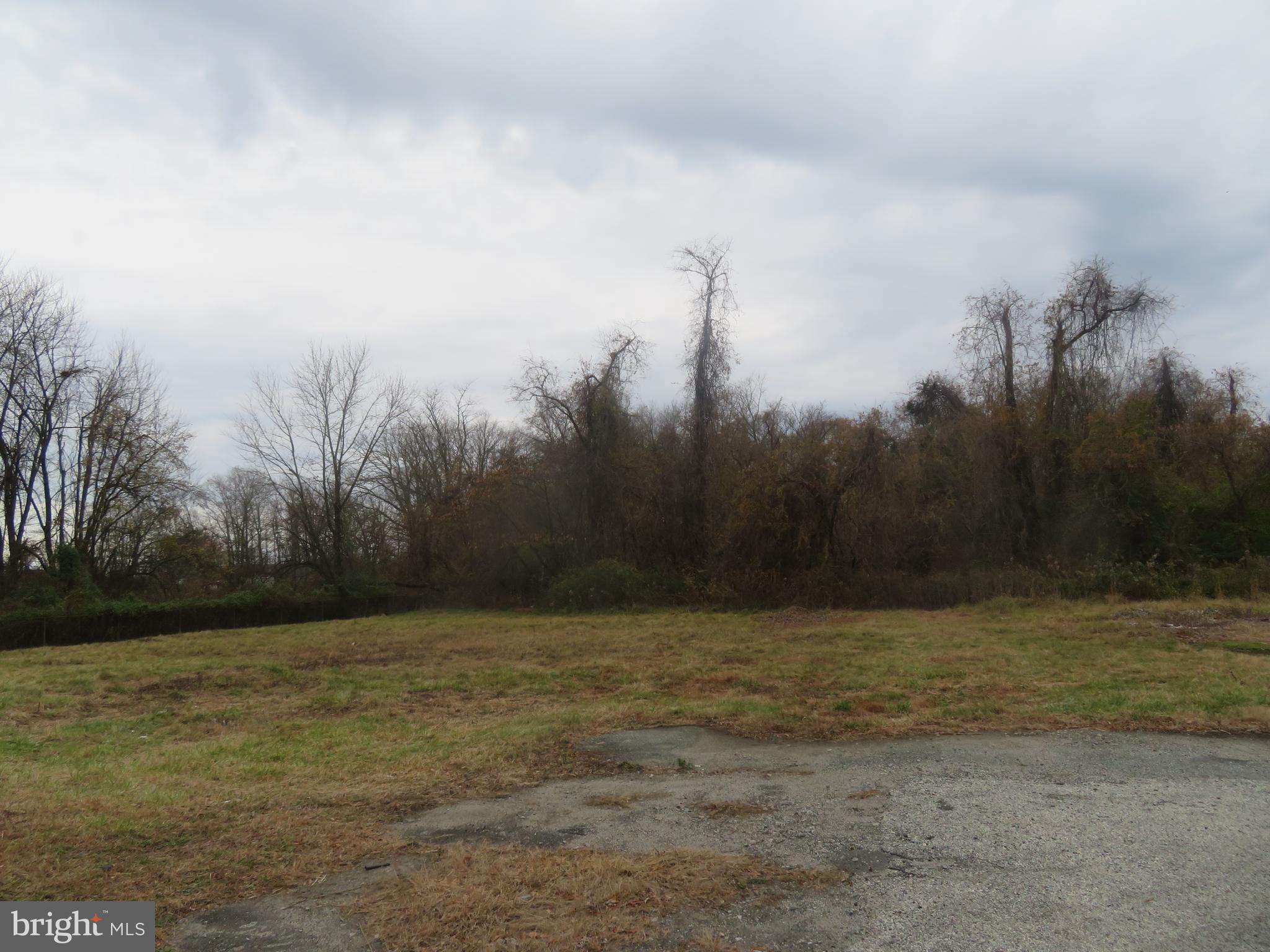 721 Lucas Lane Southampton, NJ 08088 - Photo 5 of 19 a view of a with large green space