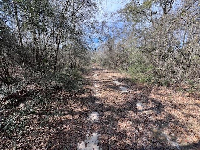 14-ac Potter Road Opp, AL 36467 - Photo 30 of 42 Gallery Image 30