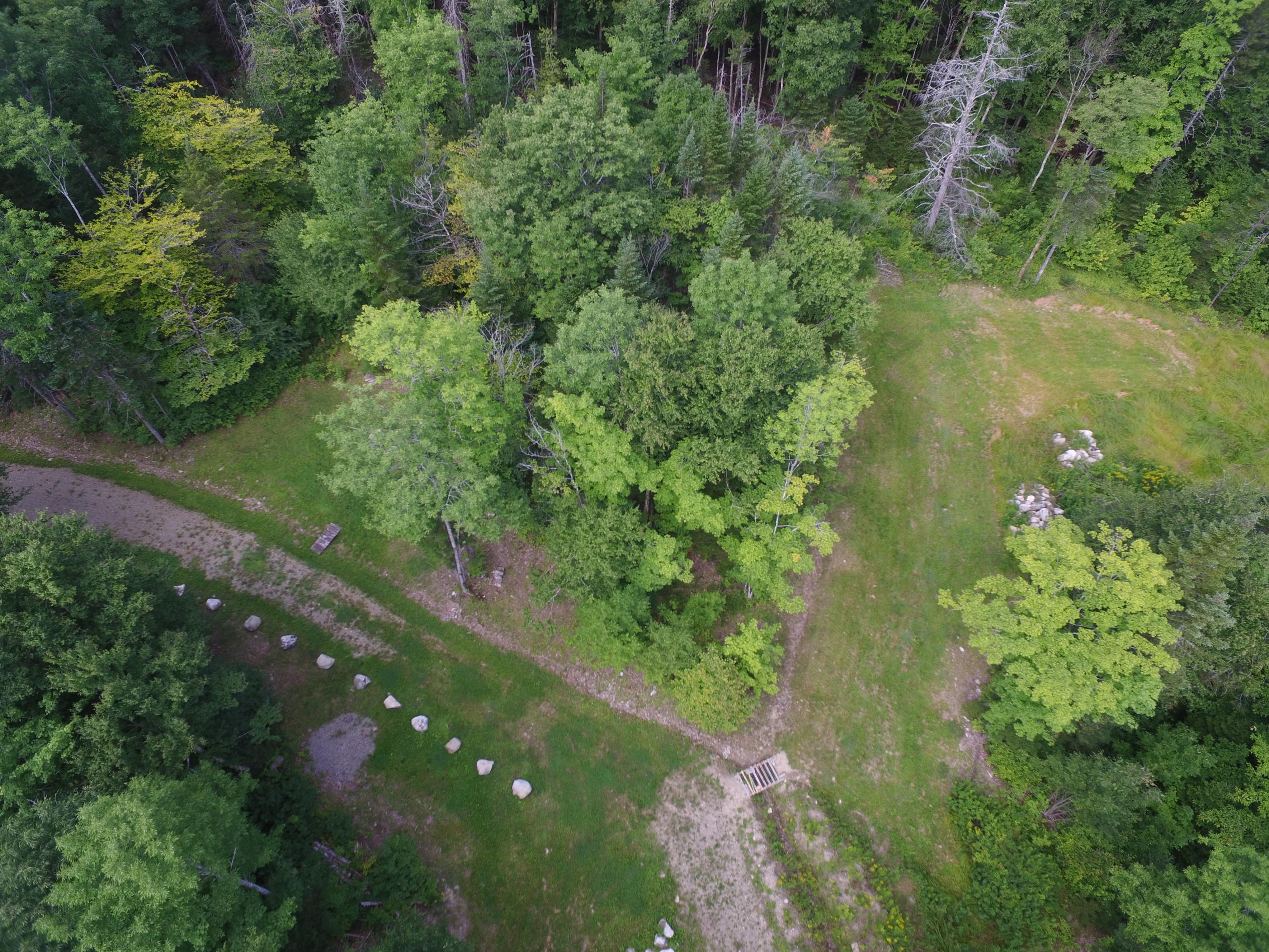 Tbd Brown Road Carroll Plt, ME 04487 - Photo 9 of 12 DJI_0183