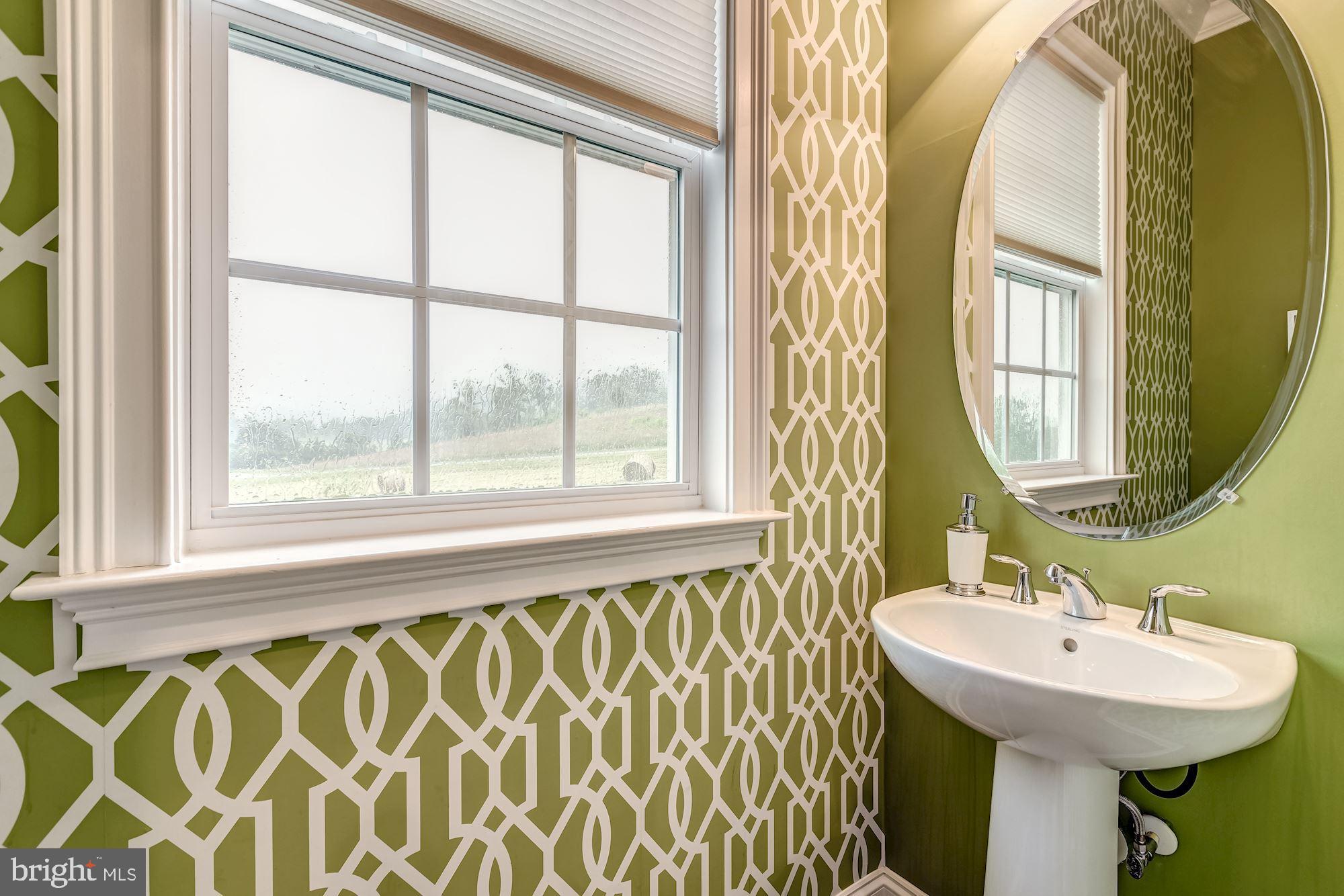 18638 Wild Raspberry Drive Purcellville, VA 20132 - Photo 21 of 49 Guest Bath on Main Level