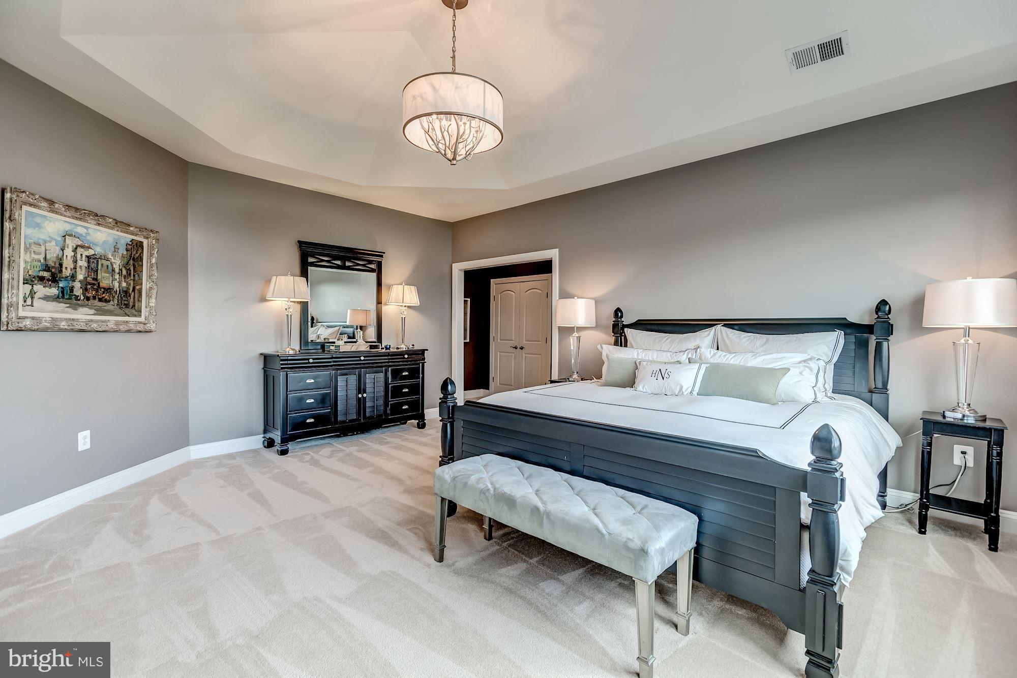 18638 Wild Raspberry Drive Purcellville, VA 20132 - Photo 24 of 49 Master Bedroom