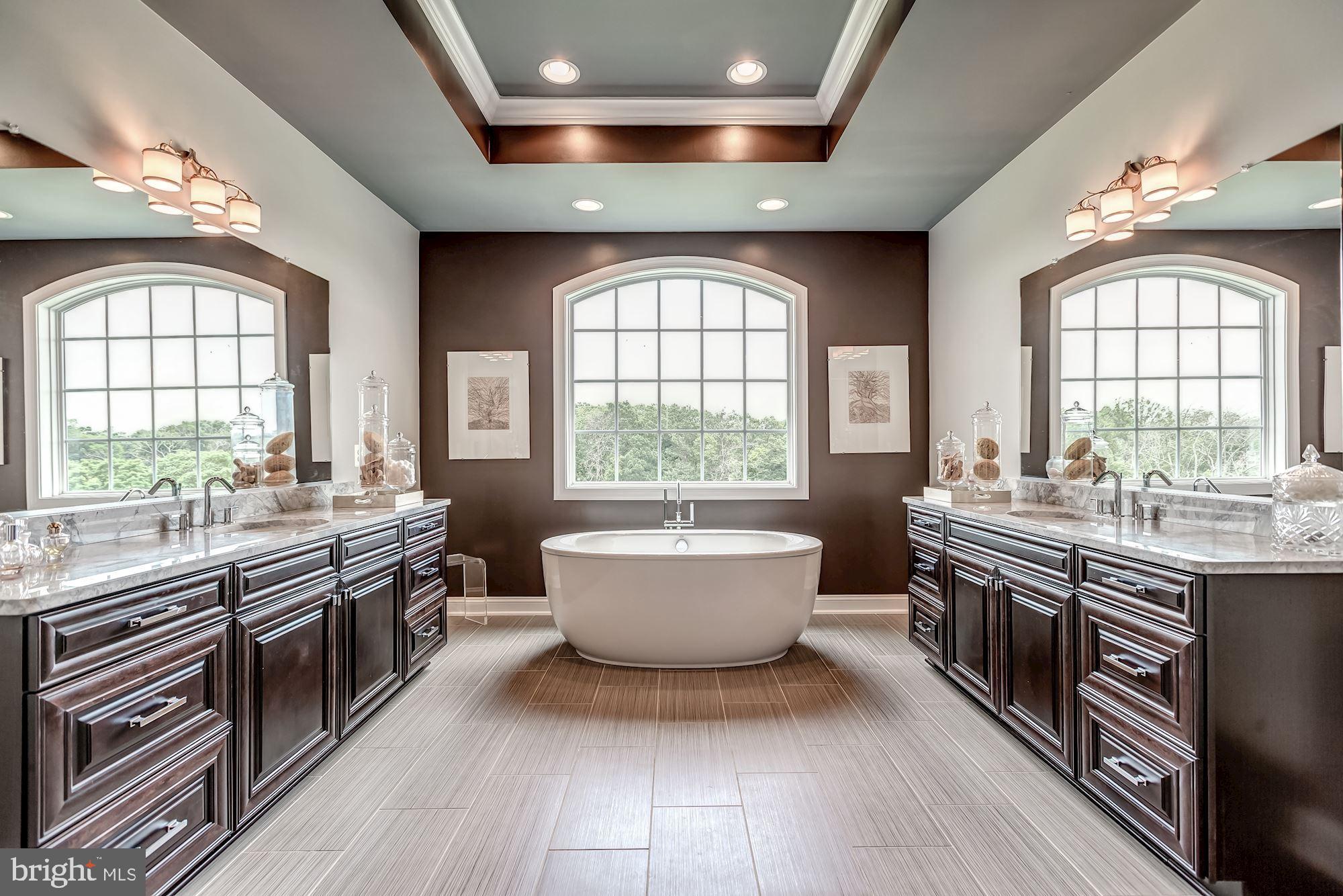 18638 Wild Raspberry Drive Purcellville, VA 20132 - Photo 26 of 49 Spa-like Bath Double Sinks, Tray Ceiling