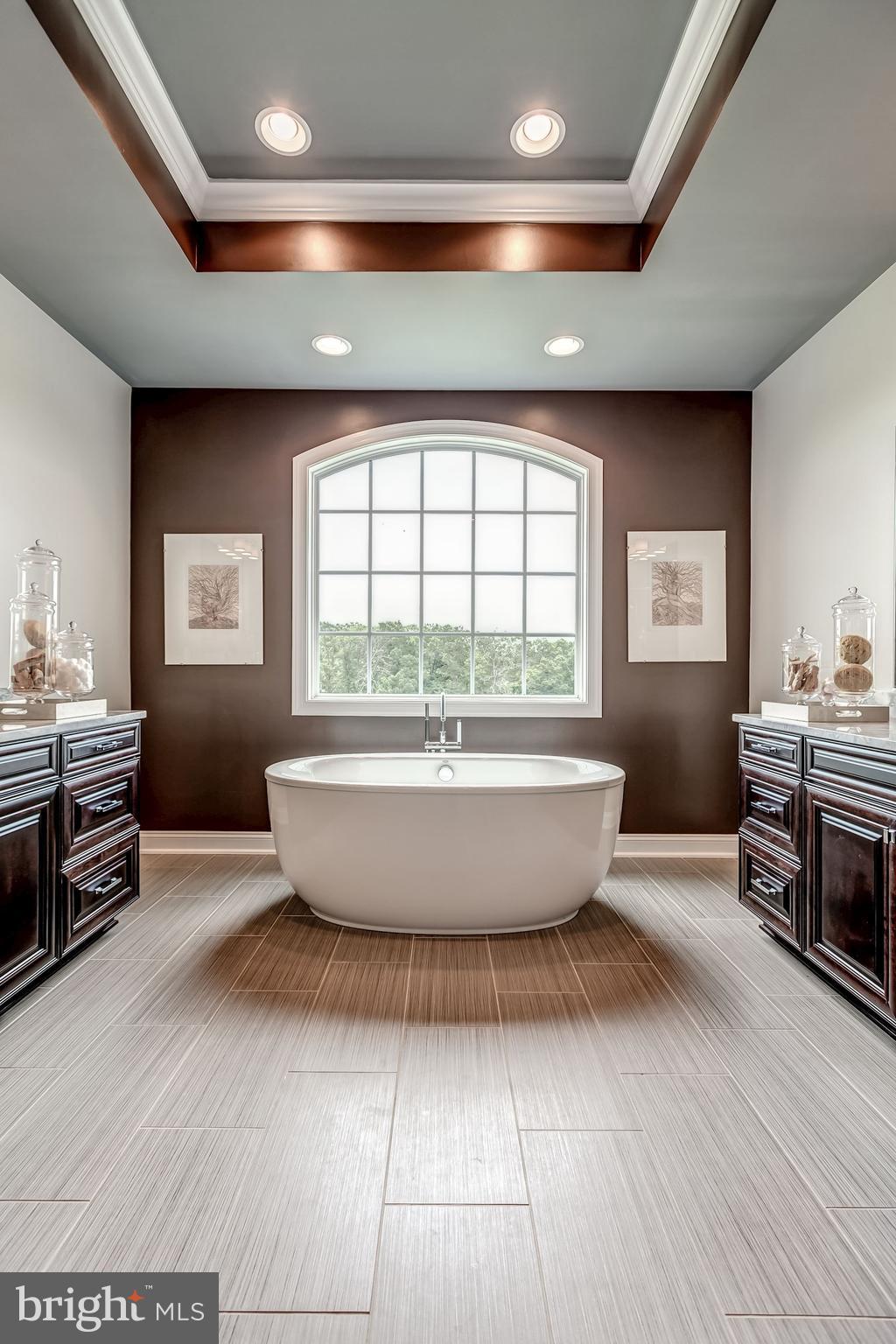 18638 Wild Raspberry Drive Purcellville, VA 20132 - Photo 27 of 49 Luxurious Soaking Tub