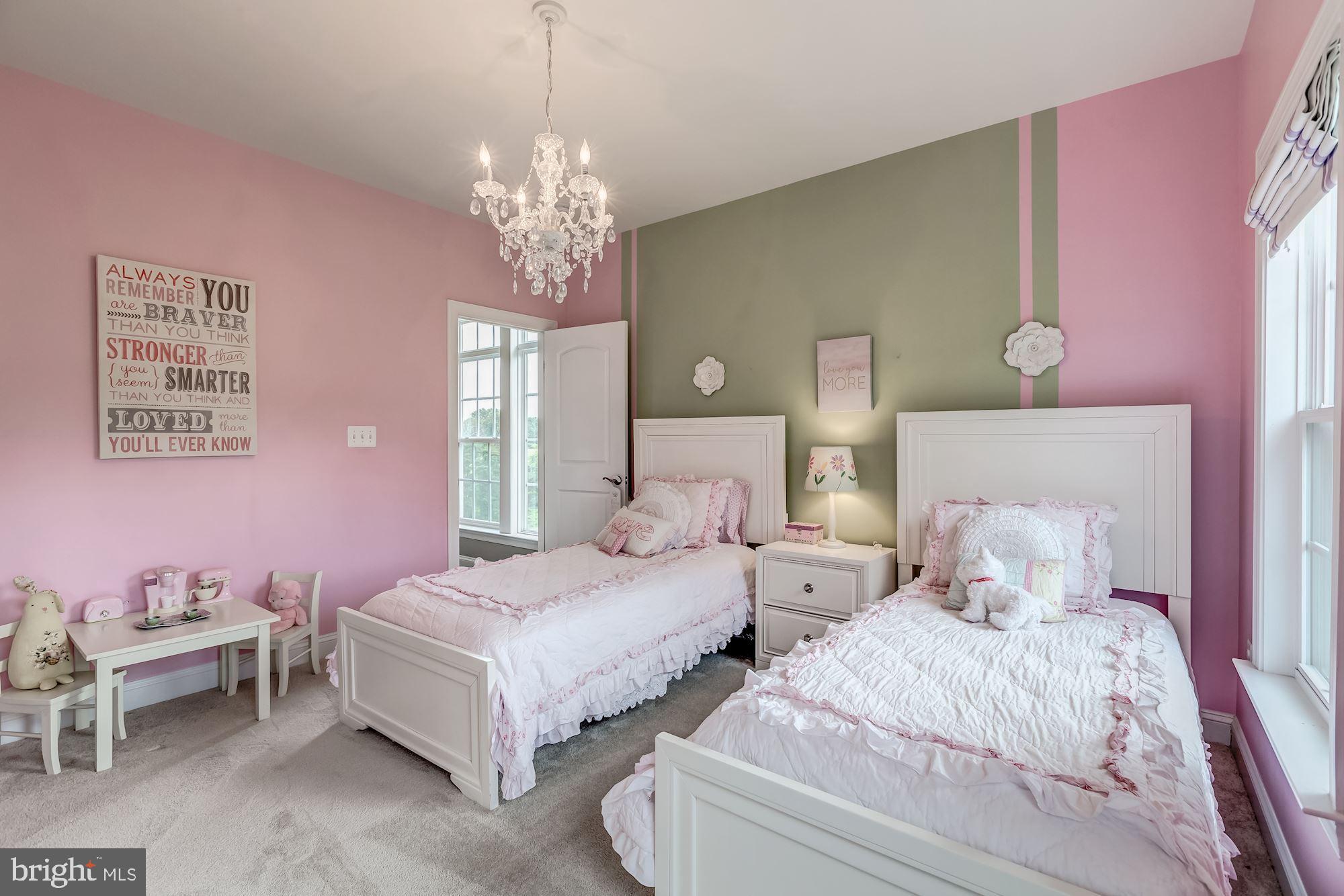18638 Wild Raspberry Drive Purcellville, VA 20132 - Photo 29 of 49 The Perfect Room with Custom Paint and Chandelier