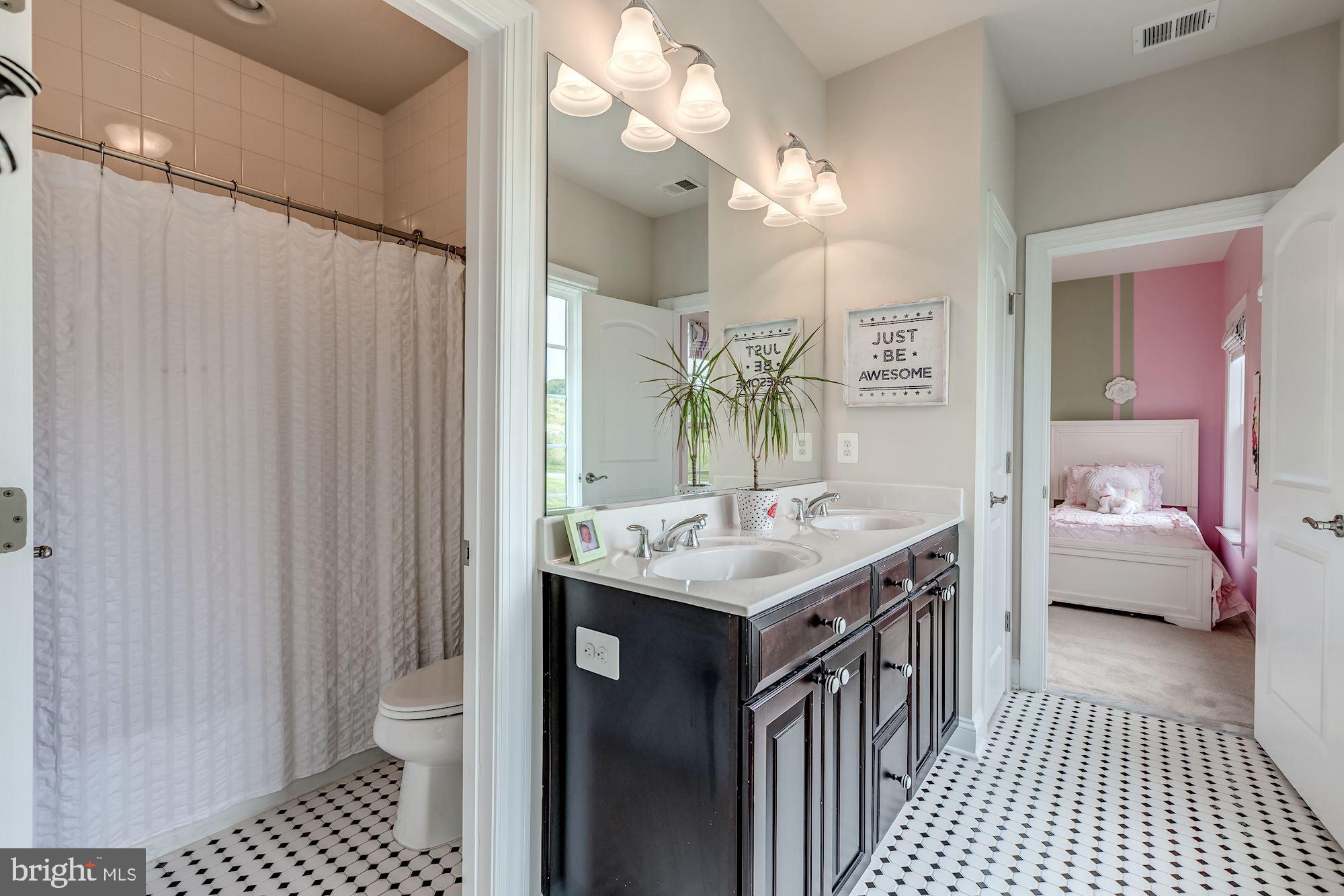 18638 Wild Raspberry Drive Purcellville, VA 20132 - Photo 31 of 49 Jack And Jill Bath with Custom Tile