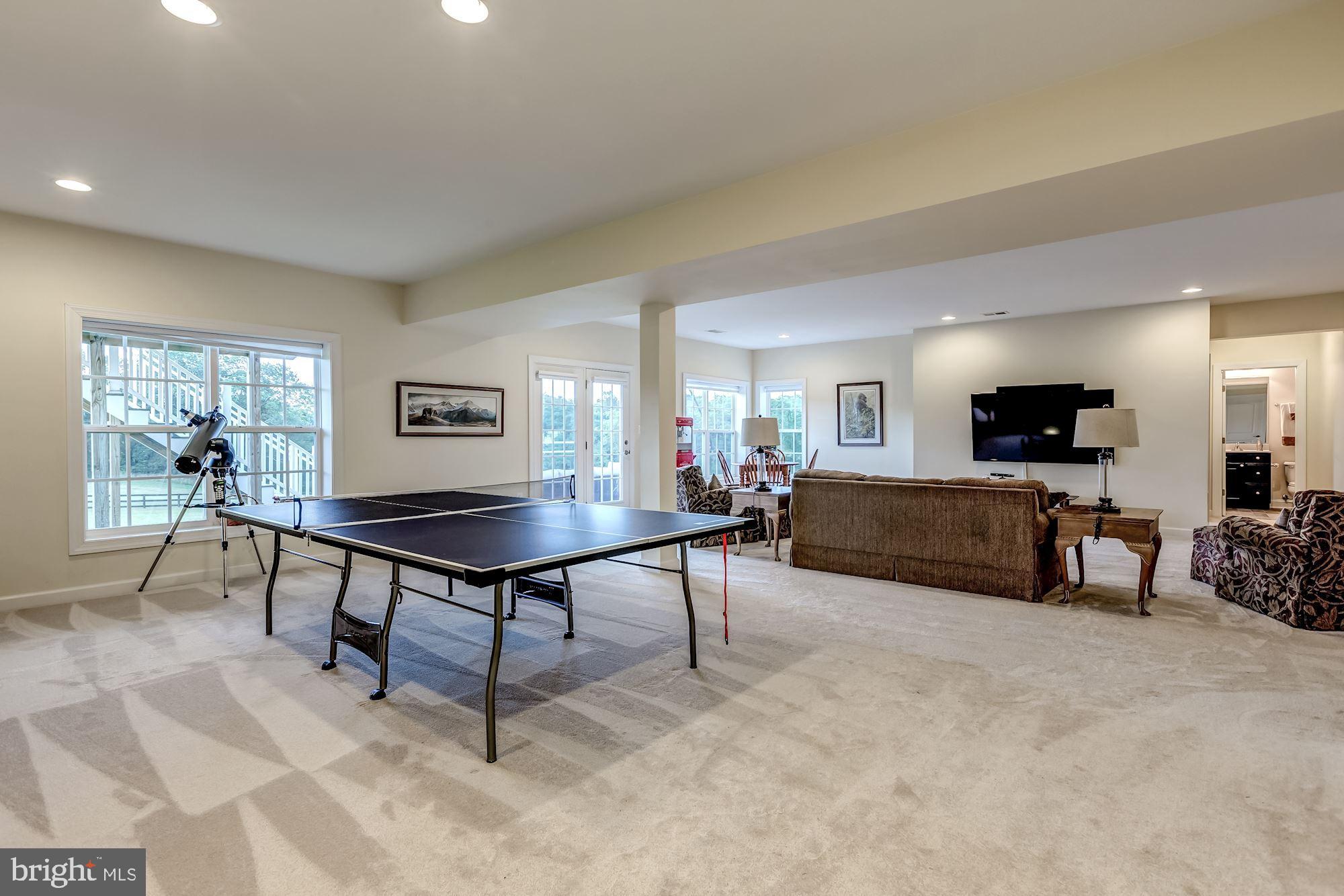 18638 Wild Raspberry Drive Purcellville, VA 20132 - Photo 34 of 49 Fully Finished Basement