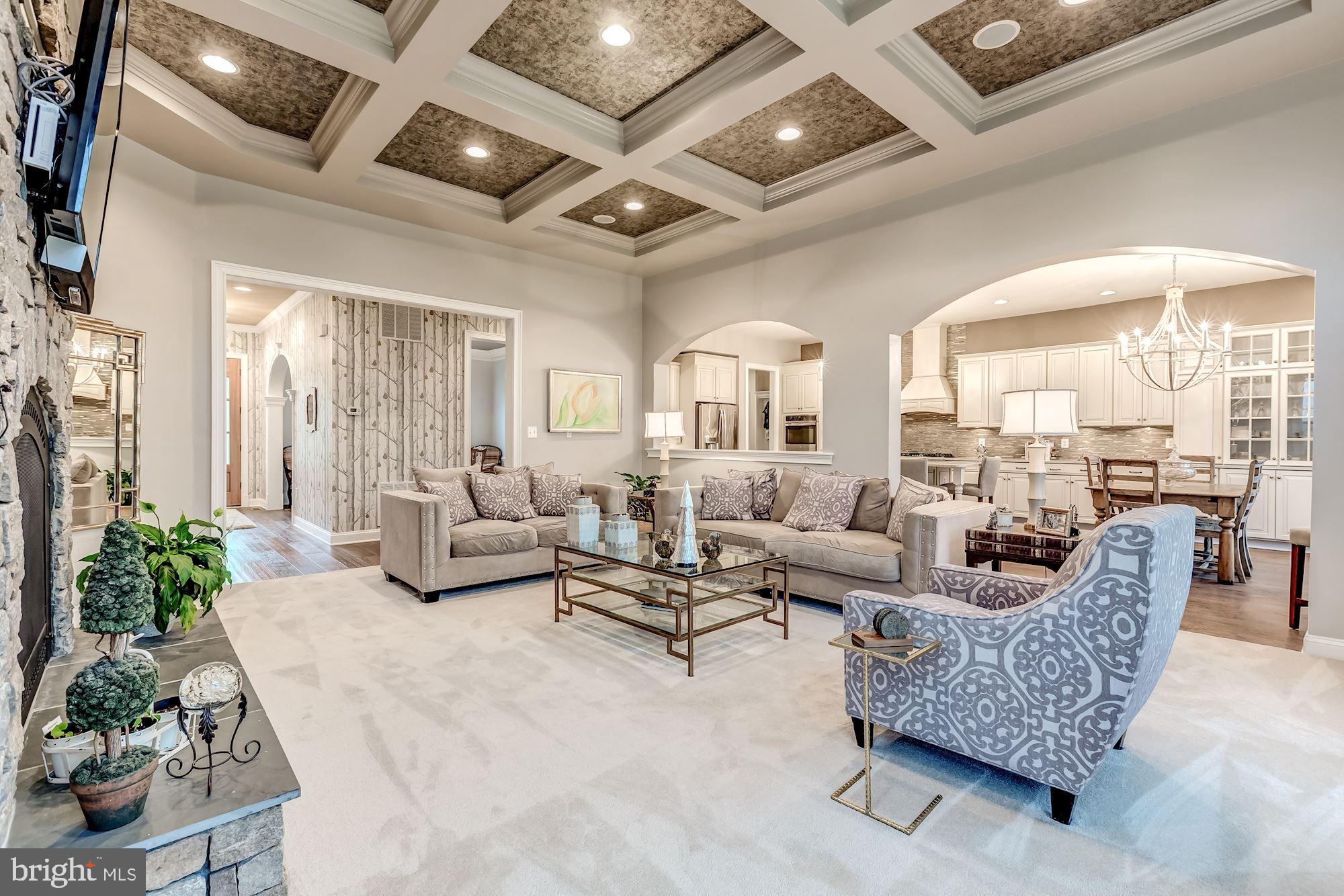 18638 Wild Raspberry Drive Purcellville, VA 20132 - Photo 6 of 49 Living Area 11', Hand-Painted Tray Ceilings