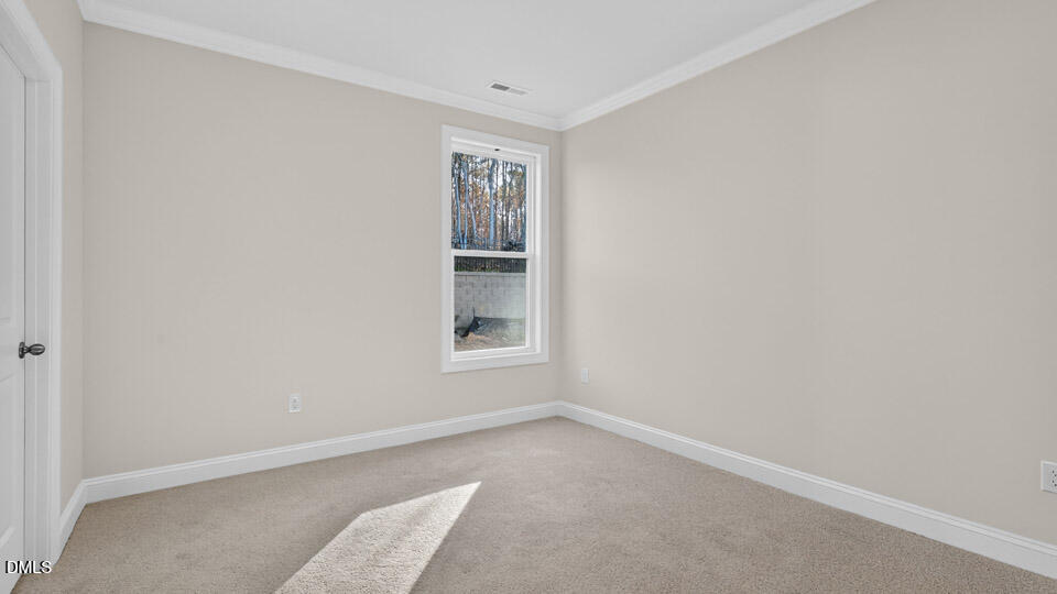644 Bumblebee Loop Apex, NC 27539 - Photo 24 of 37