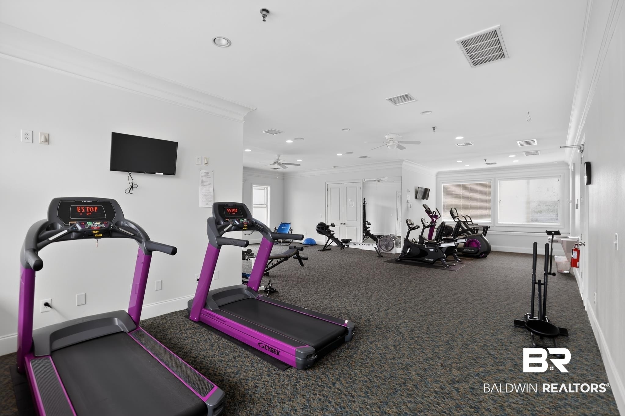 1210 Primrose Lane Foley, AL 36535 - Photo 31 of 33 Dedicated fitness area featuring extensive exercise equipment