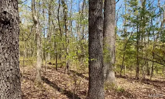 $74,900 | 0 Tbd, Dixon, MO 65459