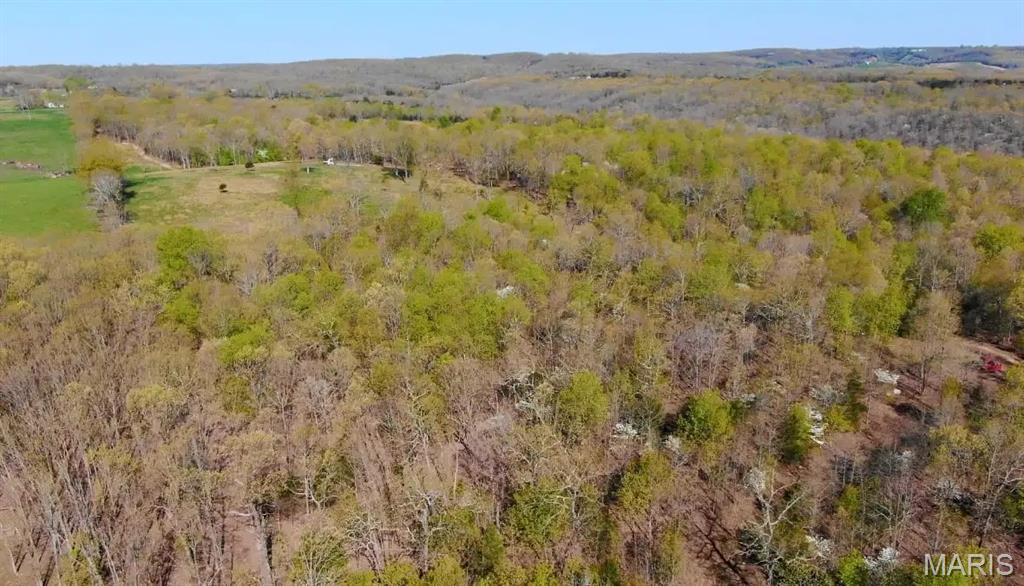 0 Tbd Dixon, MO 65459 - Photo 6 of 6