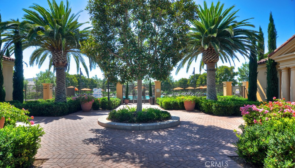 58 Lupari Irvine, CA 92618 - Photo 34 of 60 a view of a house with a yard and coconut trees