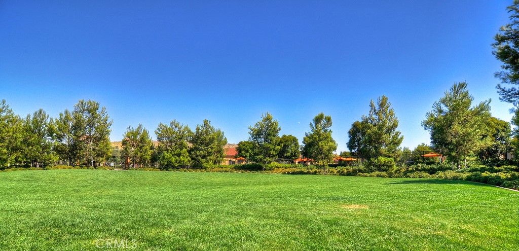 58 Lupari Irvine, CA 92618 - Photo 41 of 60 a view of yard with swimming pool and trees in the background
