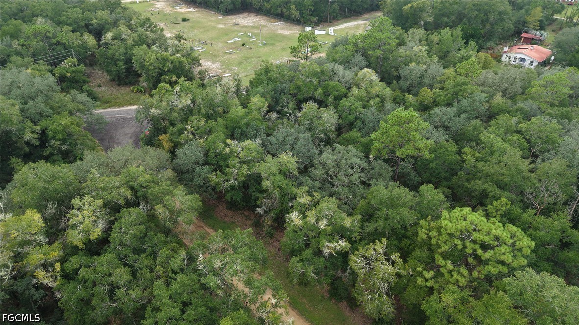 Crocus Lane Interlachen, FL 32148 - Photo 9 of 46 Gallery Image 9