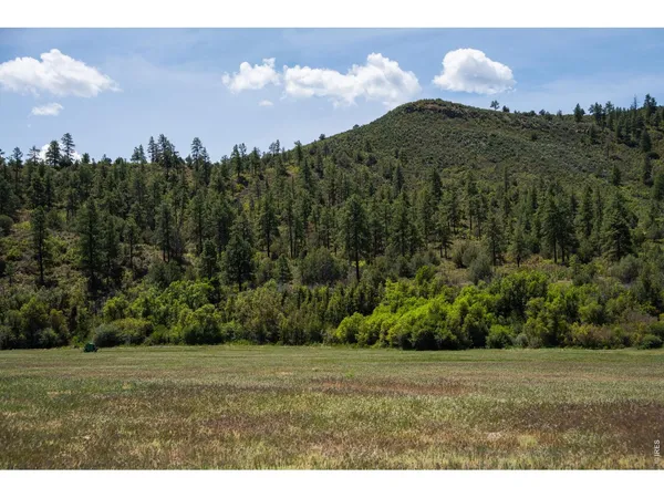 a view of a yard and mountain