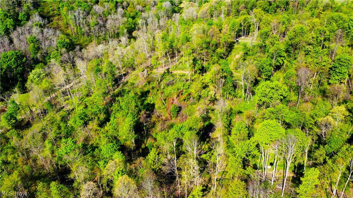 Patton Road Jewett, OH 43986 - Photo 28 of 42