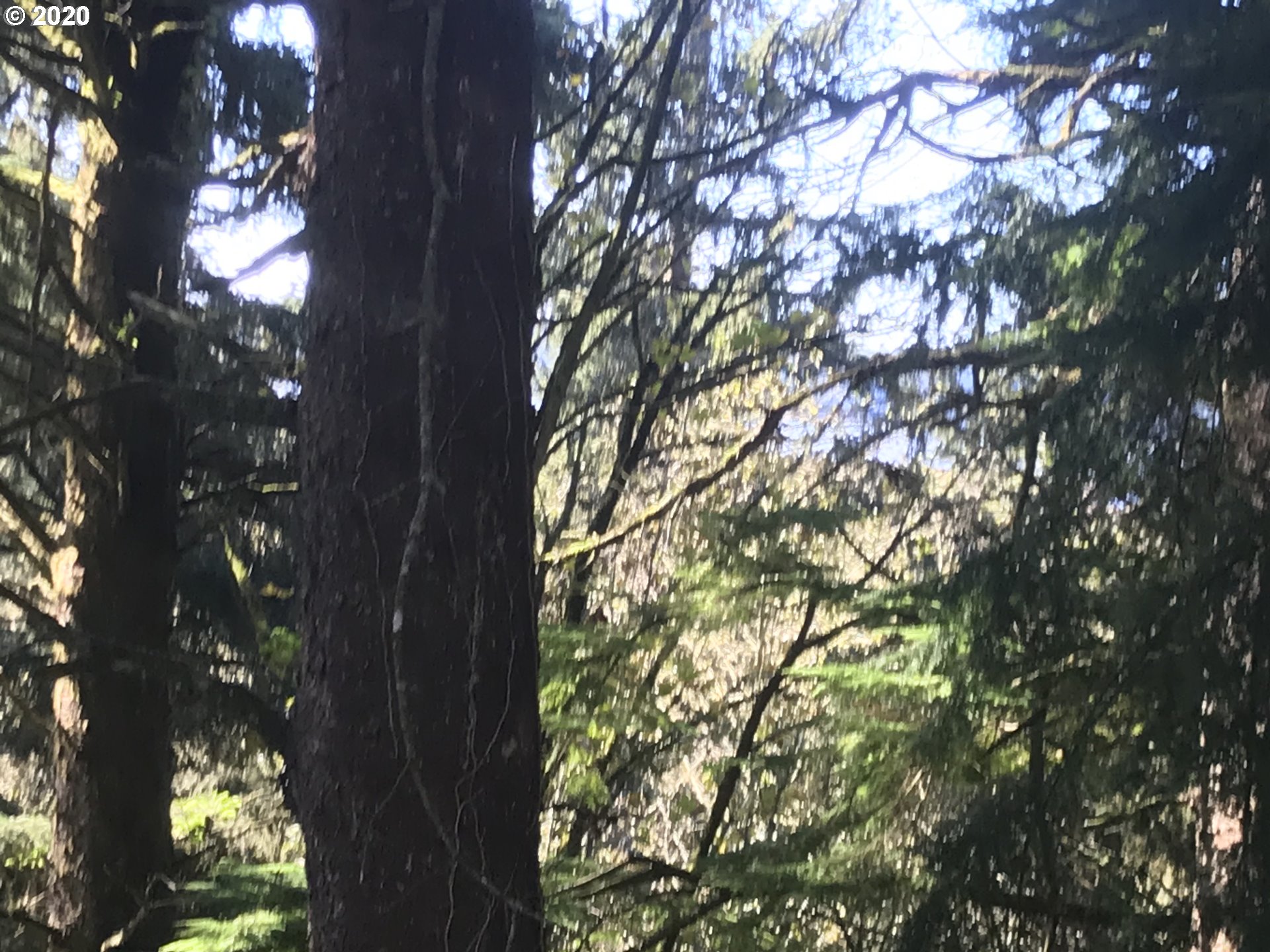 Nehalem Point, Unit 8 Nehalem, OR 97131 - Photo 3 of 4