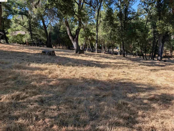 $7,000 | 19055 Crocker Station, Groveland, CA 95321