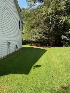 a view of a forest filled with trees