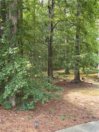a backyard of a house with lots of green space