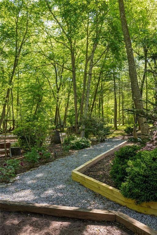 704 Riverbend Road Blairsville, GA 30512 - Photo 86 of 89 a view of a yard with plants