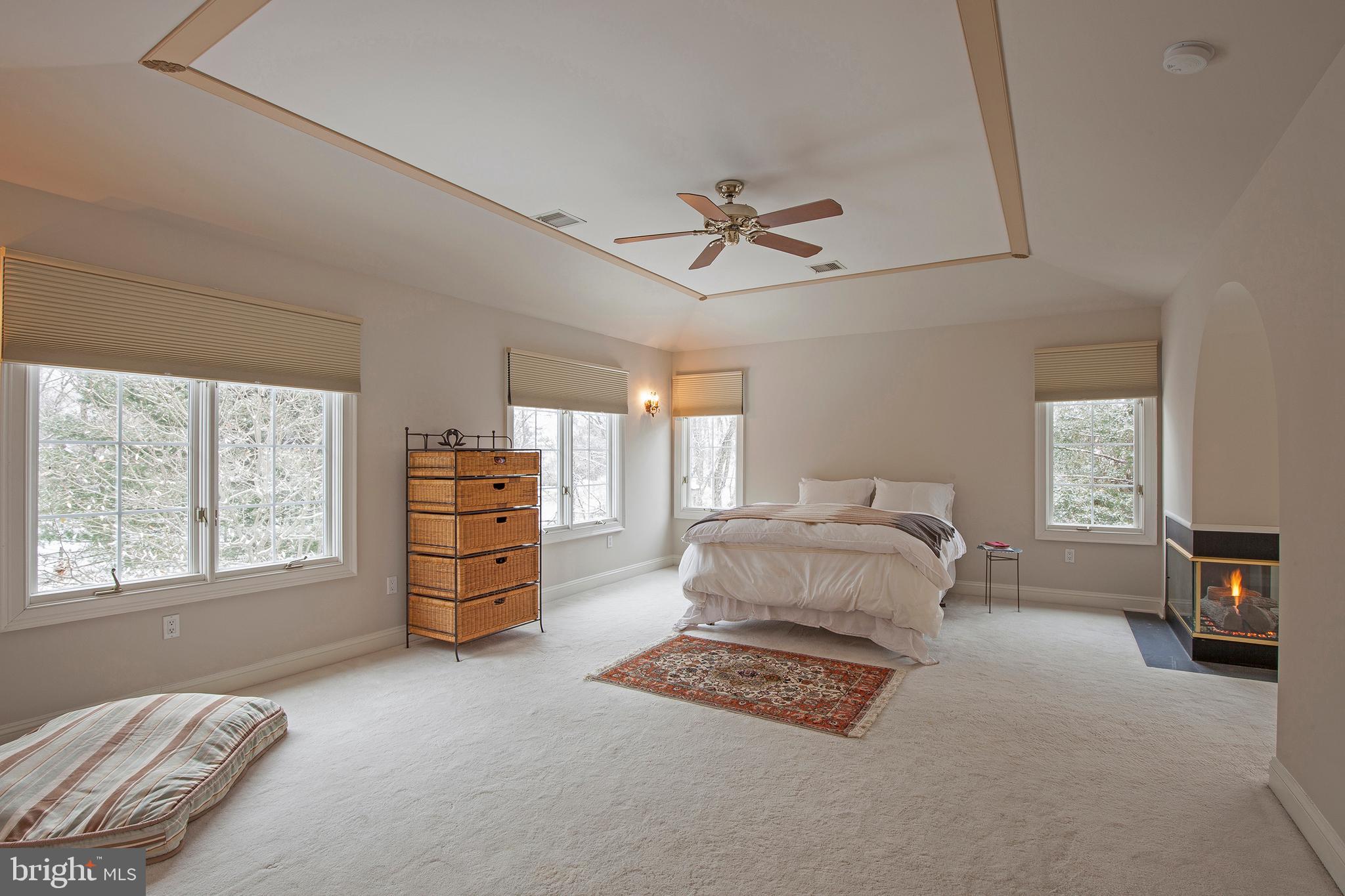 4705 Cheshire Road Doylestown, PA 18902 - Photo 16 of 20 Master Bedroom