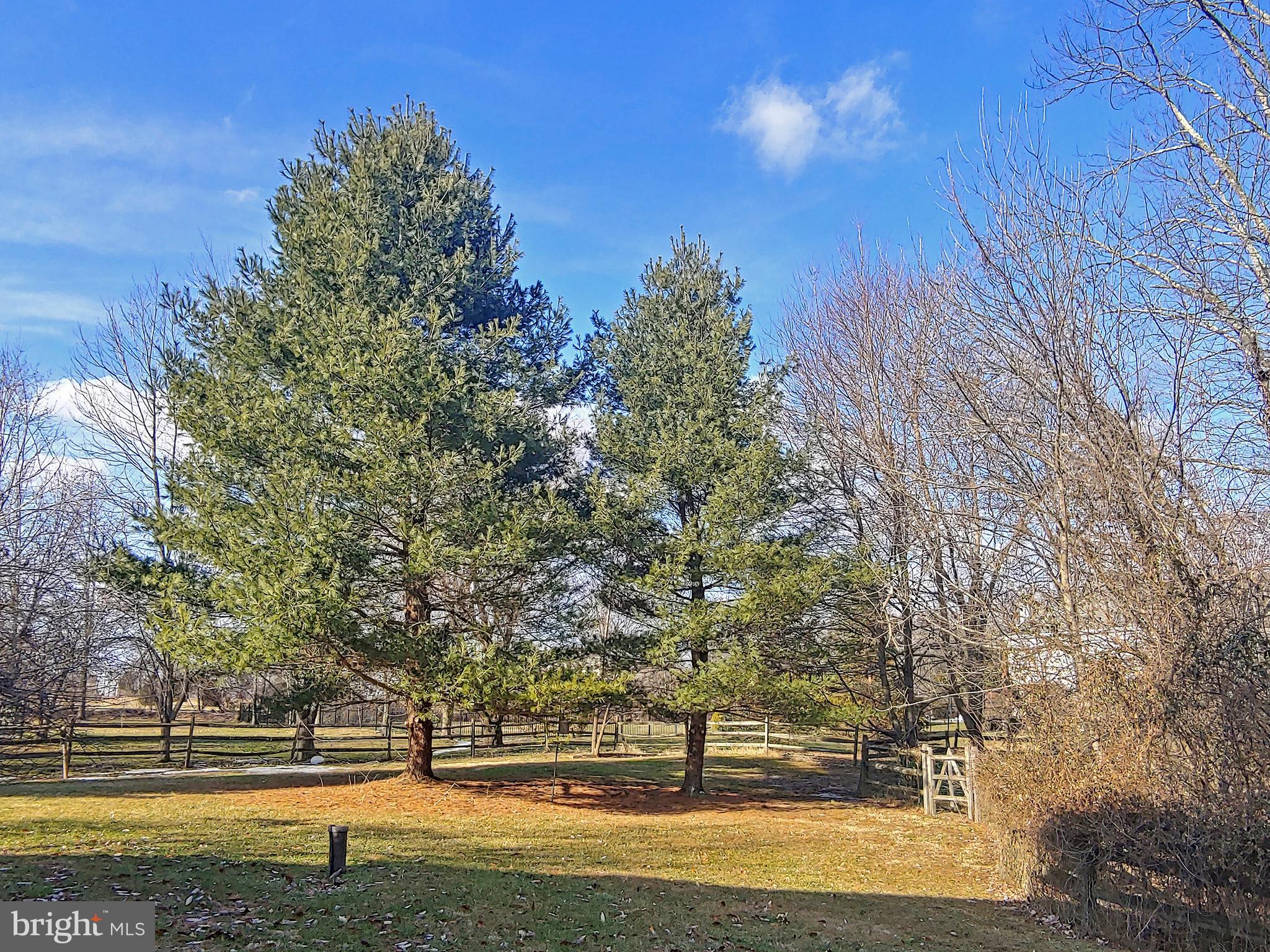 4705 Cheshire Road Doylestown, PA 18902 - Photo 5 of 20