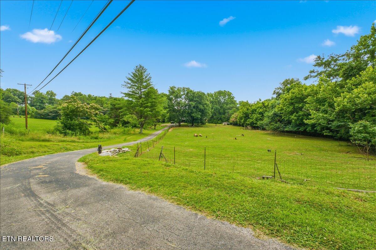 249 Old Cades Cove Road Townsend, TN 37882 - Photo 2 of 30 Exterior