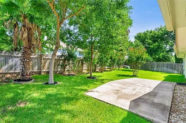 a view of a park with large trees