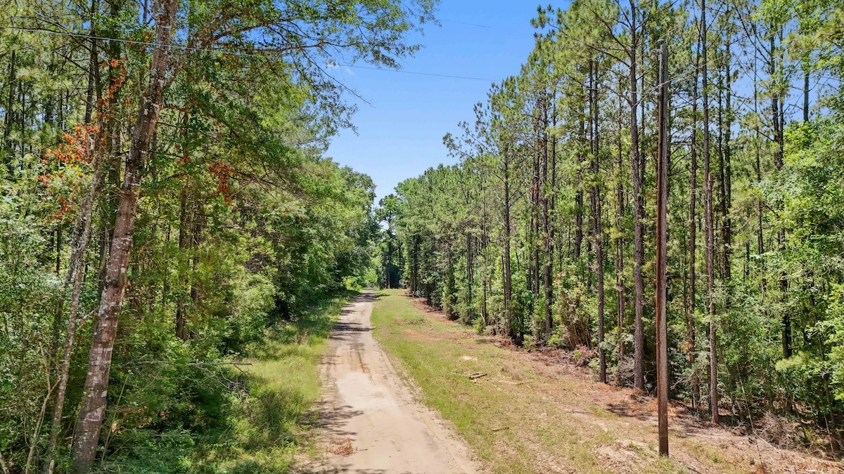 Tbd Hickman Road Burkeville, TX 75932 - Photo 26 of 45