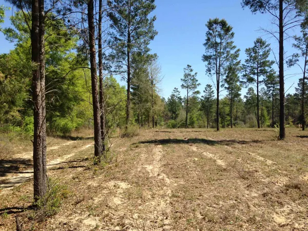 $389,200 | 441 Northeast Mango Avenue, Lee, FL 32059