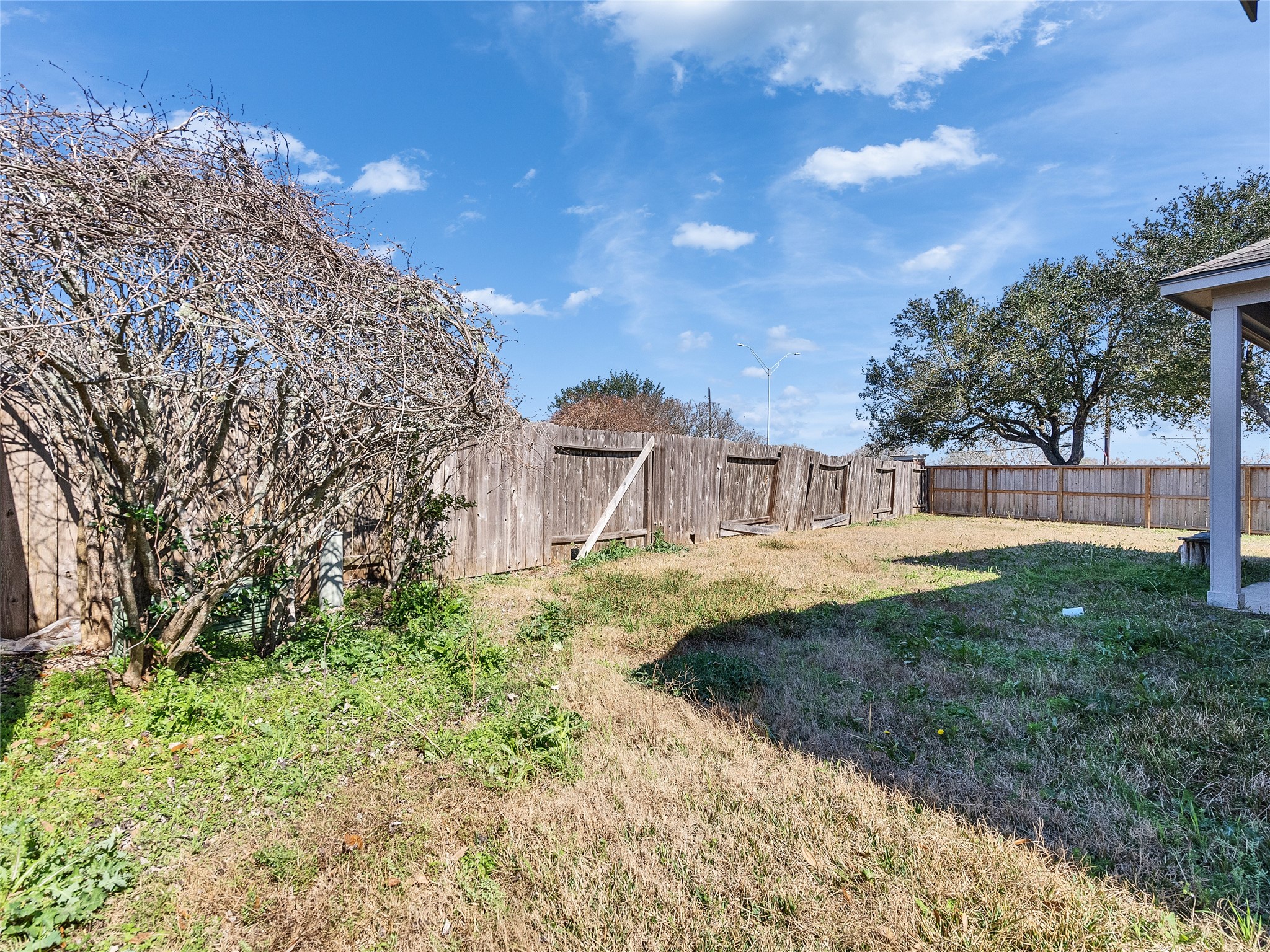 5643 Walnut Glen Lane Rosenberg, TX 77471 - Photo 12 of 42 a view of a garden with a building in the background