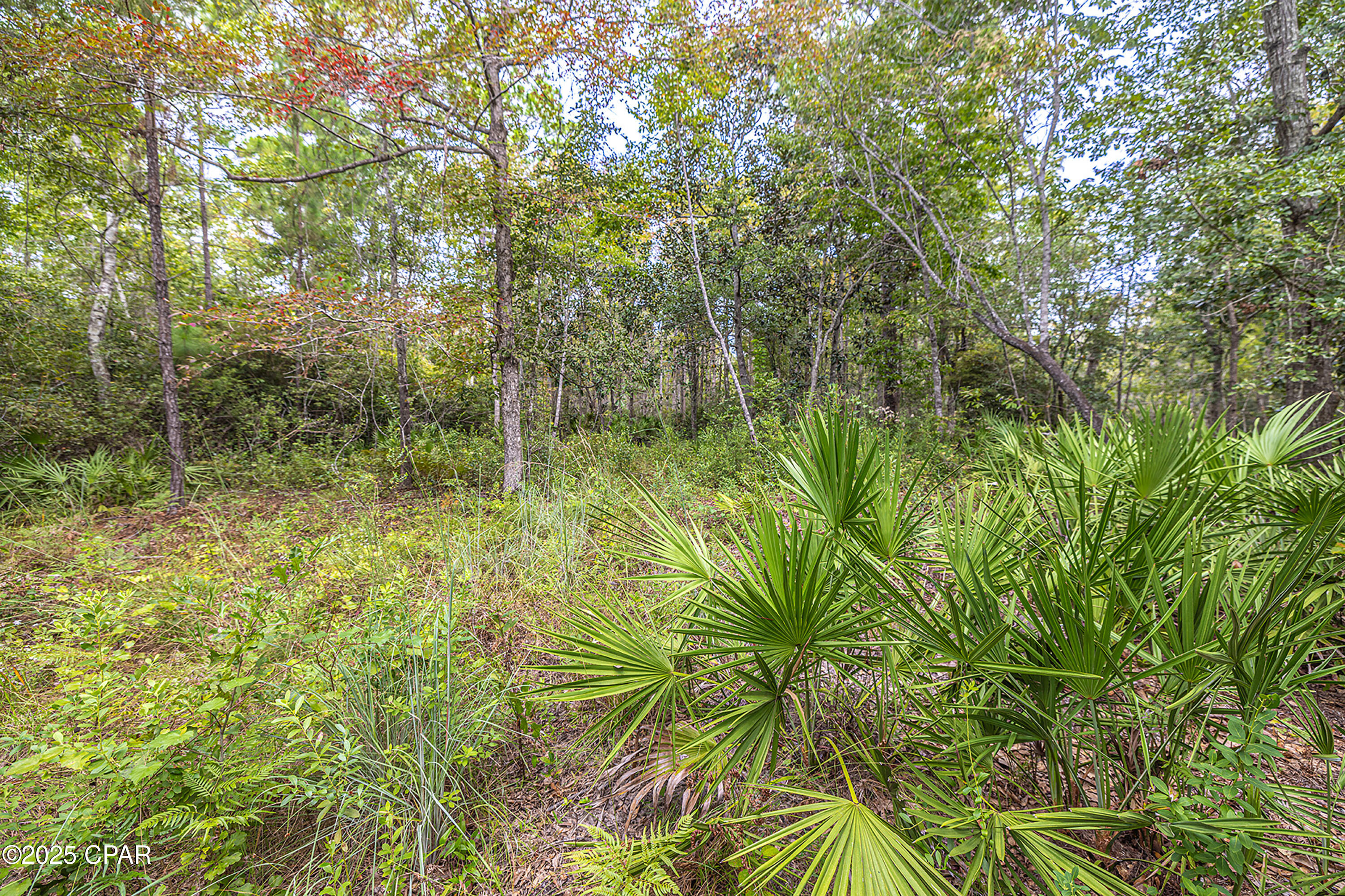 Lot 77 Harbour Trace Freeport, FL 32439 - Photo 8 of 11