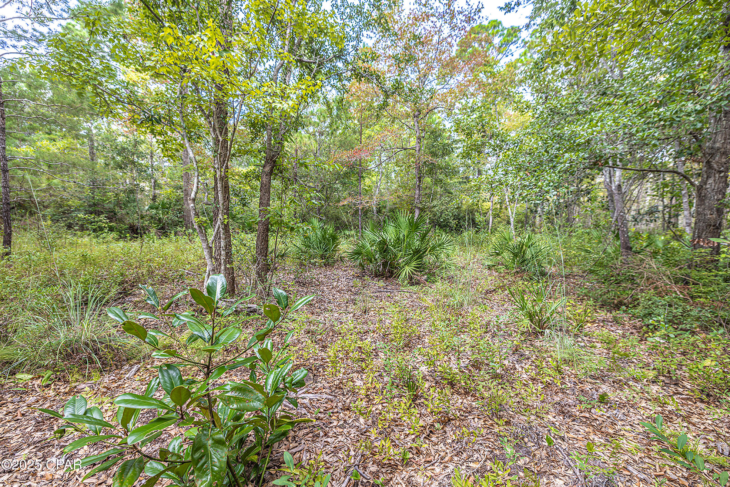 Lot 77 Harbour Trace Freeport, FL 32439 - Photo 9 of 11