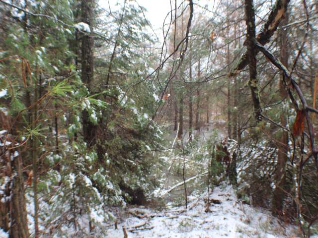 Lot On Birchwood Drive Rhinelander, WI 54501 - Photo 1 of 7 Gallery Image 1