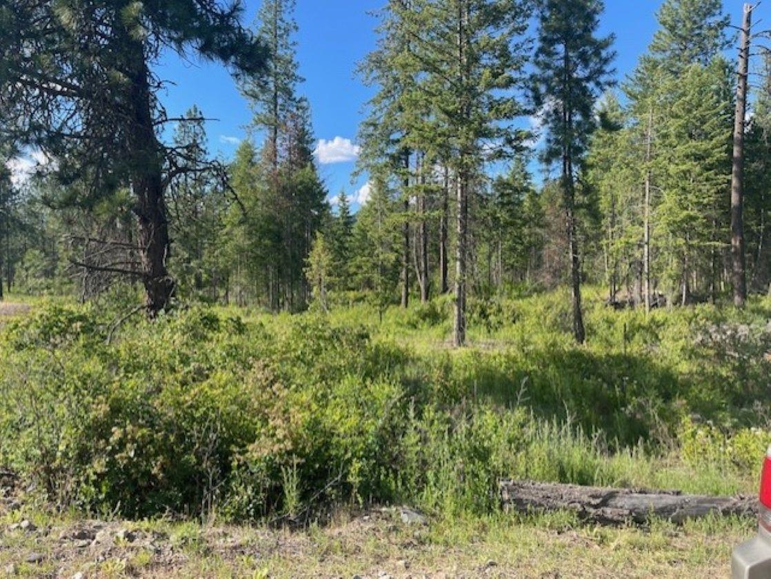 Nkn Bead Lake Road Oldtown, ID 83822 - Photo 12 of 27