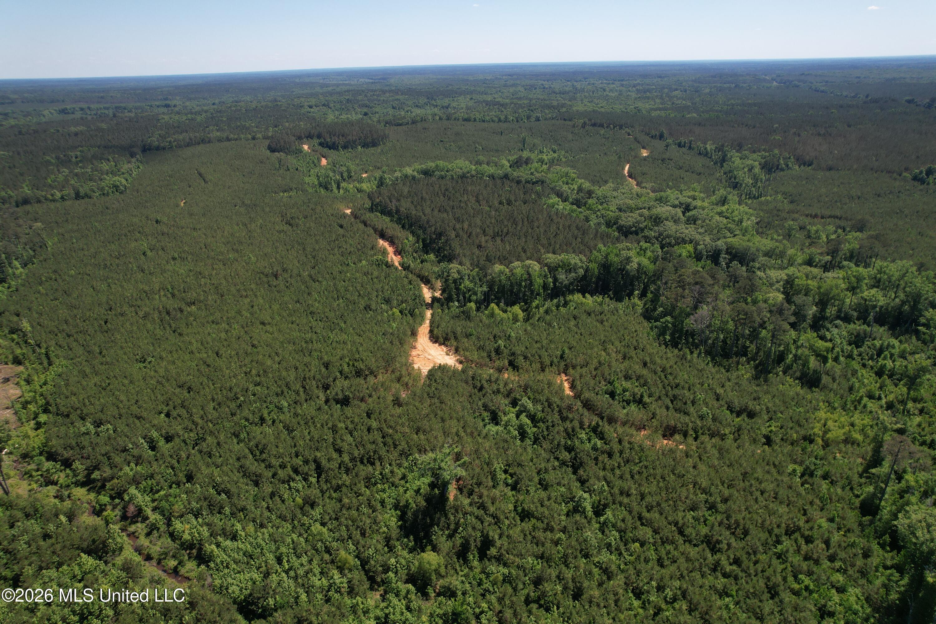 Couparle Road Camden, MS 39045 - Photo 11 of 47 DJI_0127